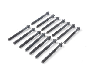 Febi Cylinder Head Bolt Set - E39, E46, E53