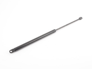 Trunk Strut