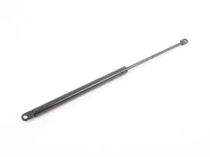 Trunk Strut