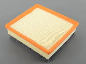Mahle Air Filter - F22, F30, F31, F32, F33, F34