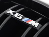 Genuine BMW M Performance Genuine BMW M Performance M Performance Gloss Black Grille Left - F86 X6 M S63 4.4L 51712354499 View 4