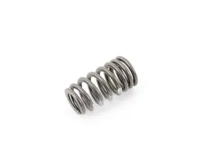 Genuine BMW Valve Spring - 11347837681 - E60 M5,E63 M6,E90,E92,E93 M3