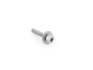 Genuine BMW Isa Screw