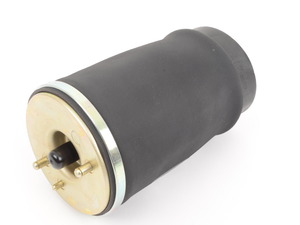 Arnott Rear Pneumatic Air Spring - Left - E53