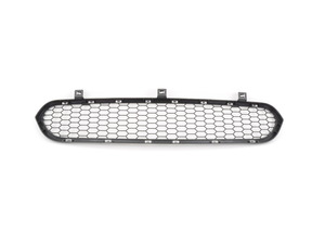 Genuine BMW Grill, Center Lower M - 51117205560 - E70 X5,E71 X6