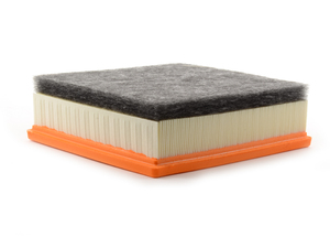 Genuine BMW Air Filter