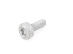 Genuine BMW Torx Bolt - 33306861221