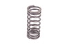 Schrick Valve Spring - Inner 5602022 View 1