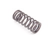 Schrick Valve Spring - Inner 5602022 View 3