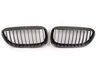 ECS Carbon Fiber Center Grills - E63 645ci 650i M6 BM-0181 View 1