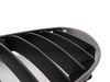 ECS Carbon Fiber Center Grills - E63 645ci 650i M6 BM-0181 View 6