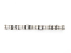 Schrick Schrick Camshaft - MINI Cooper S 042401641-03 View 3