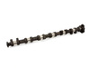 Schrick M54 Schrick Camshaft - 264 Degree, 10.5mm Lift 261.E1.641.DVO View 1