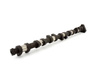 Schrick M54 Schrick Camshaft - 264 Degree, 10.5mm Lift 261.E1.641.DVO View 3