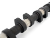 Schrick M54 Schrick Camshaft - 264 Degree, 10.5mm Lift 261.E1.641.DVO View 4