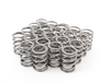 Supertech Supertech High Performance Valve Spring Set - E36 M3, 325i, 328i - Titanium Retainers SPRK-H1000DBM View 2