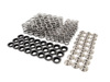Supertech Supertech High Performance Valve Spring Set - E36 M3, 325i, 328i - Titanium Retainers SPRK-H1000DBM View 1