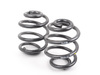 Turner Motorsport H&R Adjustable Sport Spring Set - E36 M3 96-99 - (NO LONGER AVAILABLE) 29910-2AR View 3