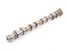 Schrick MINI R56 Schrick Exhaust Camshaft 248 Degree 10.0mm Lift - For Cooper S 0483A1481-03 View 1