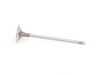 TRW Intake Valve - Priced Each 11347587470 View 2