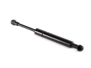 Trunk strut