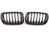 Genuine BMW M Performance Genuine BMW Black Center Grills - E70 X5, E71 X6 51712150246-7 View 1