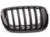 Genuine BMW M Performance Genuine BMW Black Center Grills - E70 X5, E71 X6 51712150246-7 View 4
