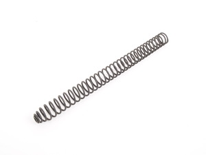 Genuine BMW Chain Tensioner Spring