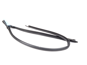 Genuine BMW Door Weatherstrip Right - 51333420704 - E86