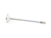 TRW TRW Exhaust Valve - E30, E34 11341309487 View 3