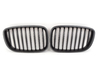 ECS Black Center Grills - F07 535i GT, 535i xDrive GT, 550i GT, 550i xDrive GT TMS11706 View 1