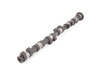Schrick Schrick Exhaust Camshaft - E46 M3, MZ3, MZ4 (S54) - 272 Degree, 12.5mm Lift TMS11749 View 1