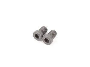 Brake Rotor Retaining Screw / Hold Down Bolts (pair) - M8x12