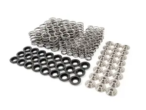 E36 M3, 325i, 328i Supertech High Performance Valve Spring Set