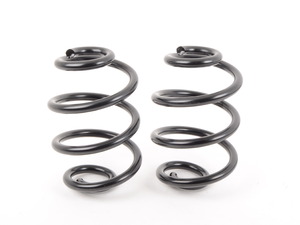 Turner Motorsport Factory Replacement Rear Springs (Pair) - E46 325xi/330xi 