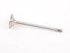 TRW TRW Exhaust Valve - E34, E36, E39, E46, Z3 11341739823 View 2