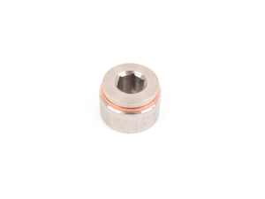 O2 Sensor Bung and Plug