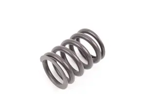 VALVE SPRING (SINGLE SPRING) (M10 -1985, M20 W/ 304, M30 SEE CATALOG)