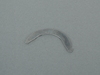 Genuine BMW Genuine BMW Upper Guide Washer - 11217594889 11217594889 View 2