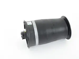Arnott Rear Air Spring - F07