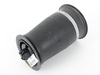 Arnott Arnott Rear Air Spring - F07 37106781843 View 4