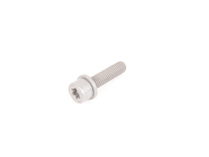 Torx Screw - Pack Of 10