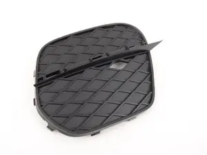 Genuine BMW Closed Grid, Right - 51117222860