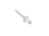 Genuine BMW Genuine BMW Blind Rivet, Flat Headed - 41007054384 41007054384 View 2