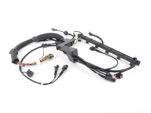 Wiring Harness - Engine Module - E46