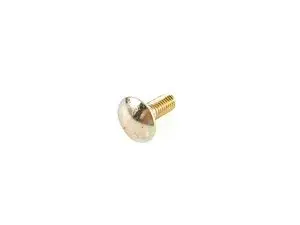 Genuine BMW Saucer-head Screw - 07119910437