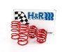 H&R H&R Sport Spring Set - Z3 M Coupe/Roadster 29520