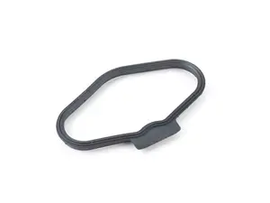 Profile Gasket - N62