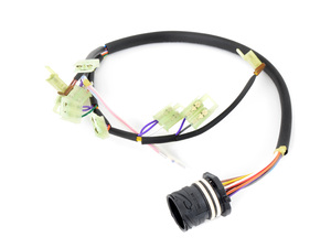 Genuine BMW Wiring Harness With Temperat - 24341421745