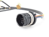Genuine BMW Genuine BMW Wiring Harness With Temperat - 24341421745 24341421745 View 2
